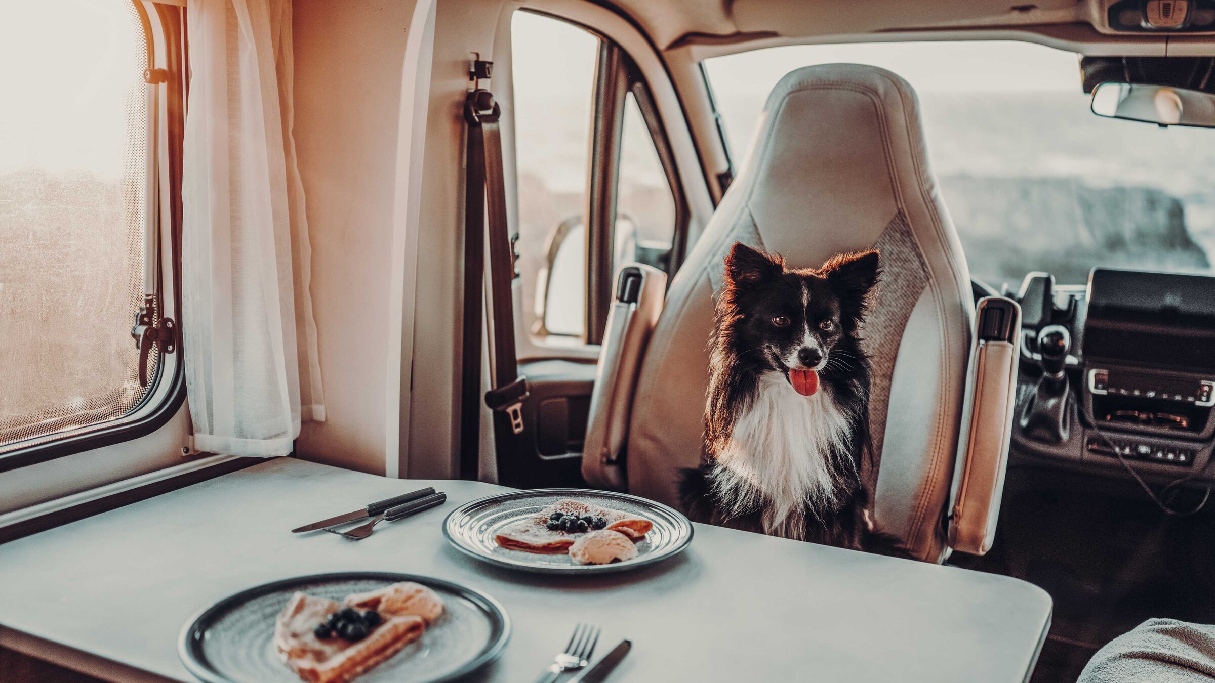 Hund sitzt im Carado Wohnmobil am Tisch