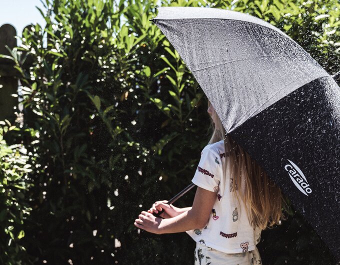 Umbrella